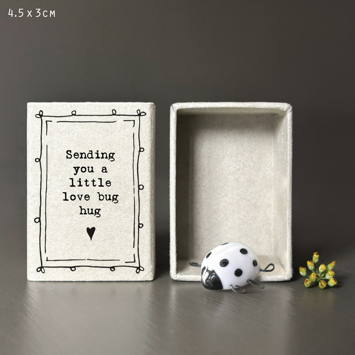 East of India Porcelain Matchbox Ladybird - Love bug hug