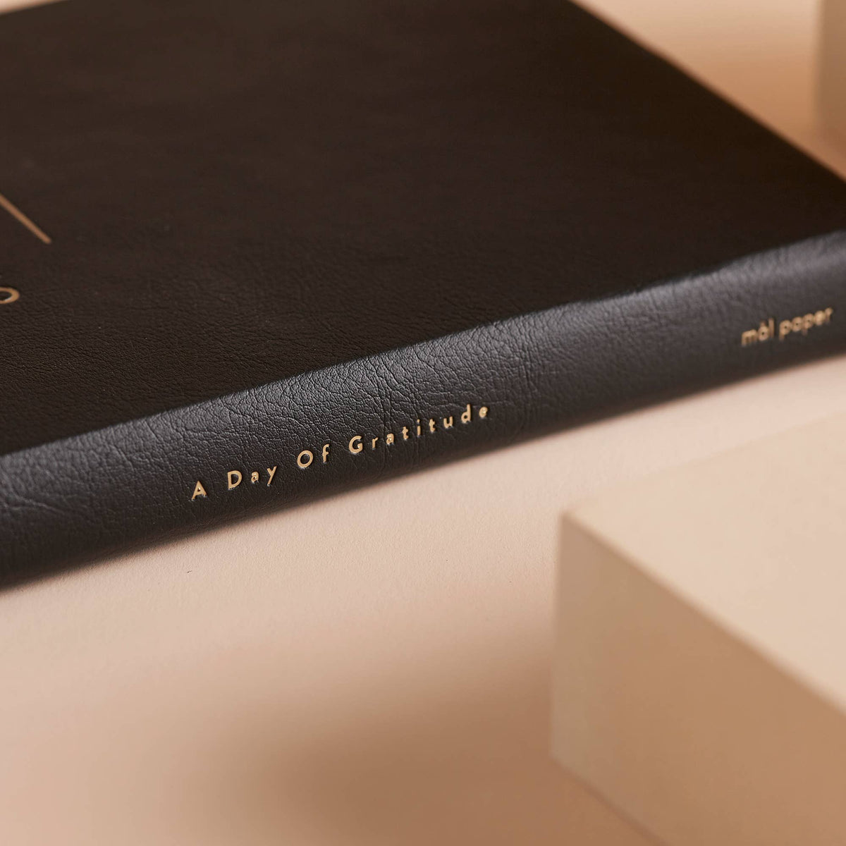 Day of Gratitude Journal - Black