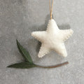 East of India White Felt Hanging Star Christmas Decoration