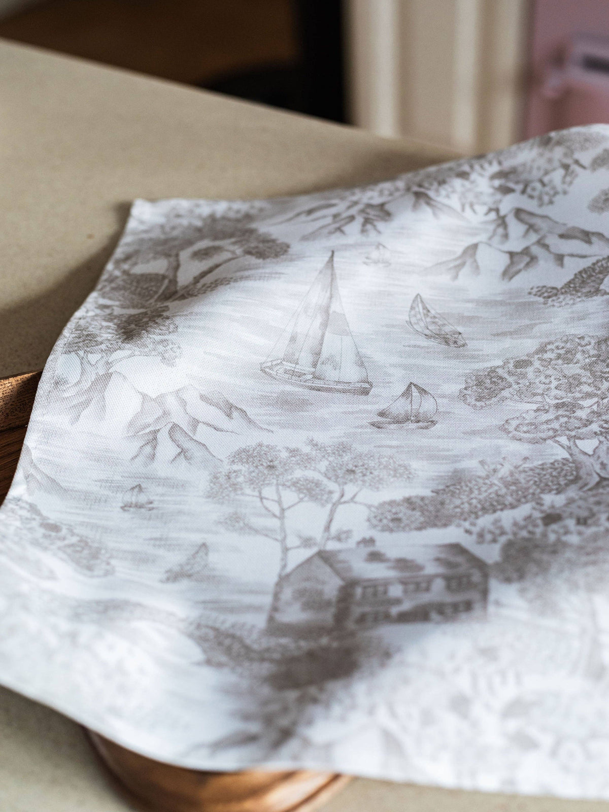 Soft Toile Napkins - Pair