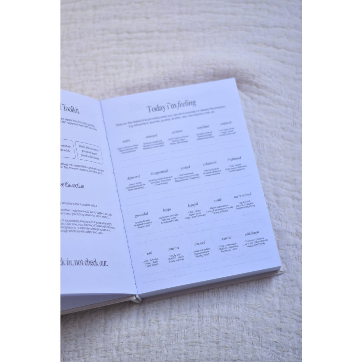 The Regulation Journal