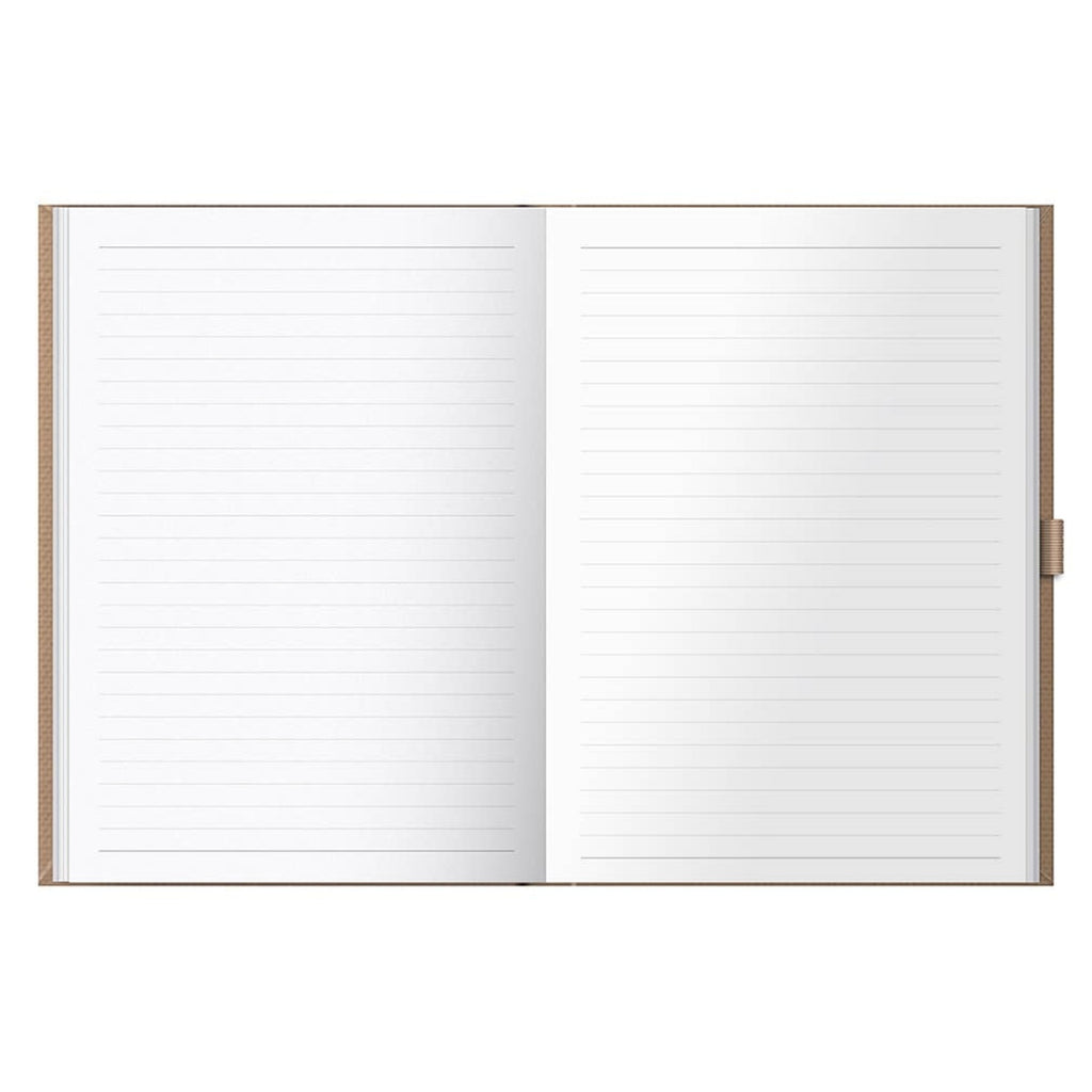 Busy B Gratitude Journal - 6 Month Undated