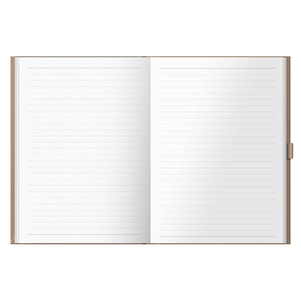 Busy B Gratitude Journal - 6 Month Undated