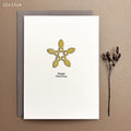East of India Metal Star Christmas Card - Happy Christmas, cream