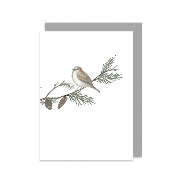East of India Bird and Berry Christmas Card - Sparrow