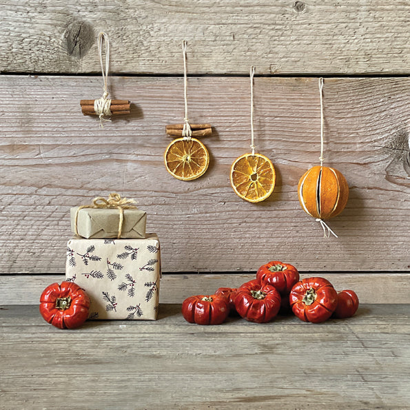 East of India Dried Single Pumpkin