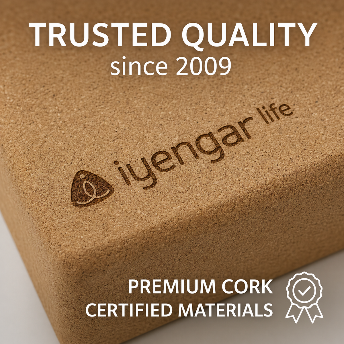 Iyengar Life Cork Yoga Block