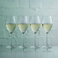 Dartington Vineyard Wine Glasses - Set of 4