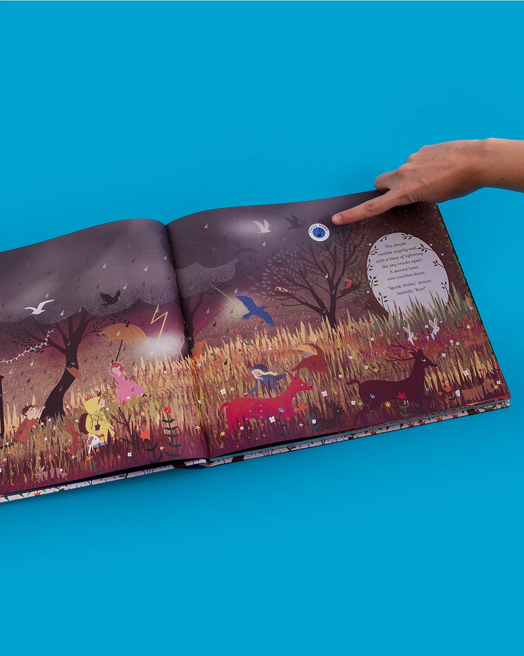 The Story Orchestra: Four Seasons in One Day Book