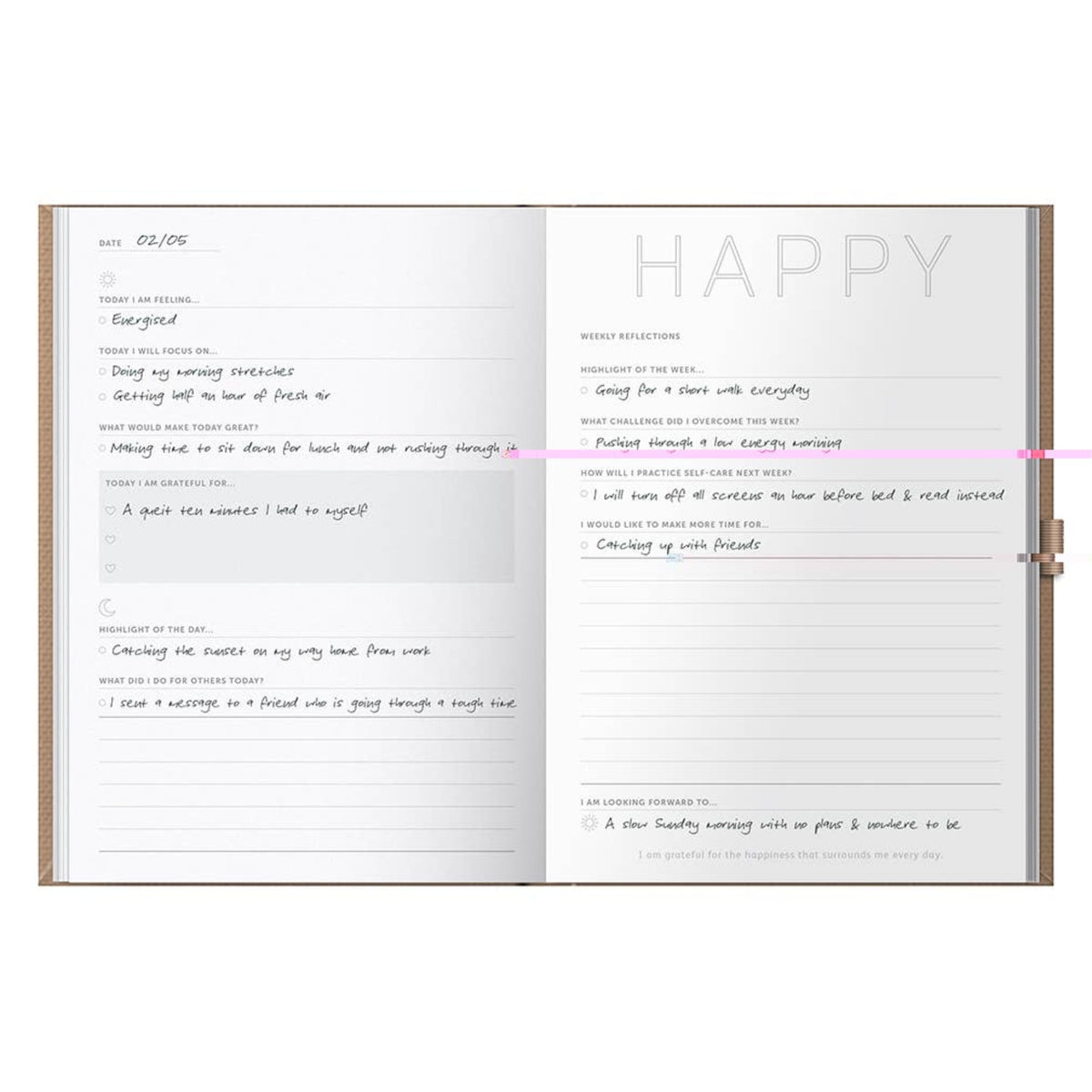 Busy B Gratitude Journal - 6 Month Undated