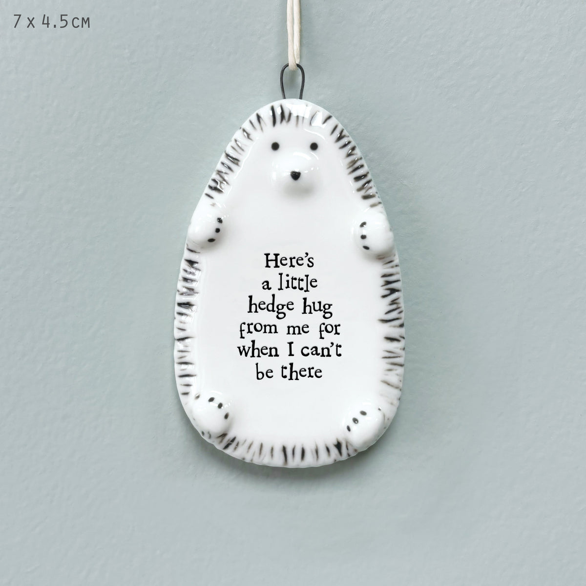 East of India Porcelain Hedgehog Hanging Decoration - Little hedge hug from me