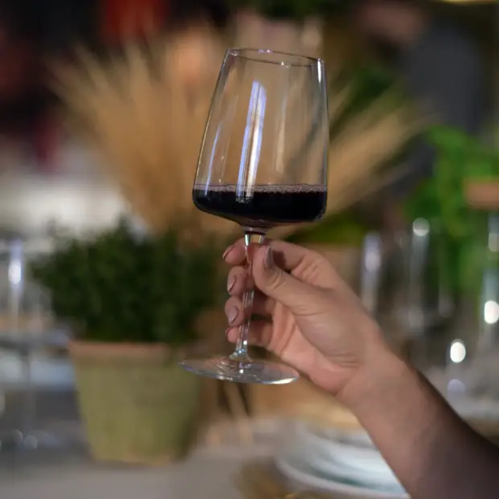 Bormioli Rocco Planeo Red Wine Glasses 480ml - Set of 4