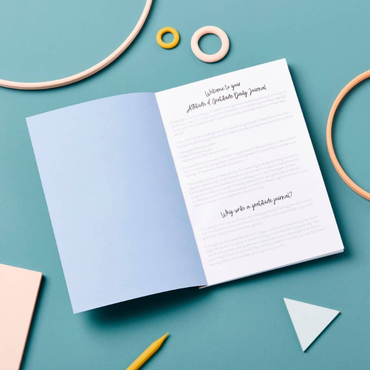 Year Long Gratitude Journal
