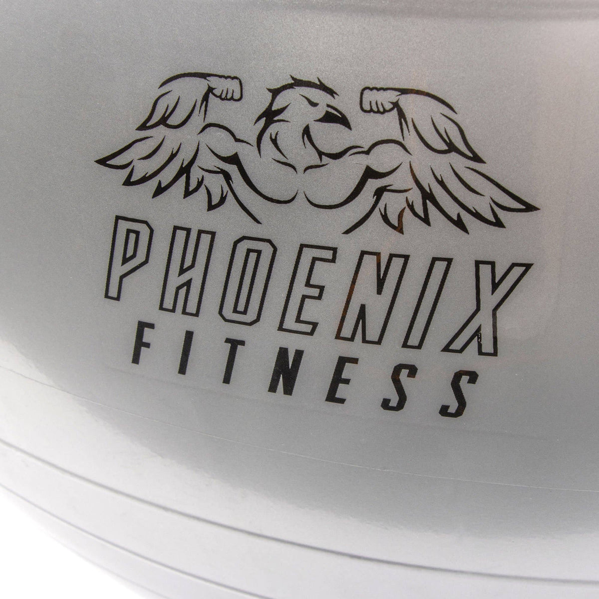 Antiburst Fitness Ball with Pump