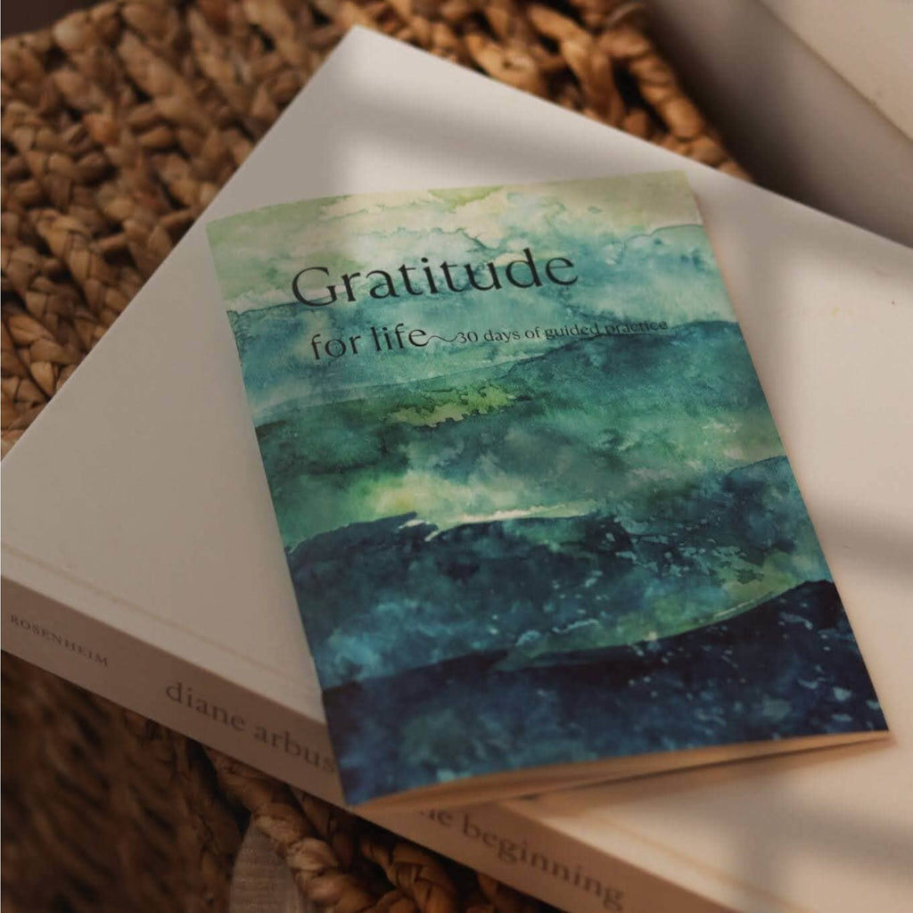 The Gratitude Journal: 30 Days, 30 Different Prompts