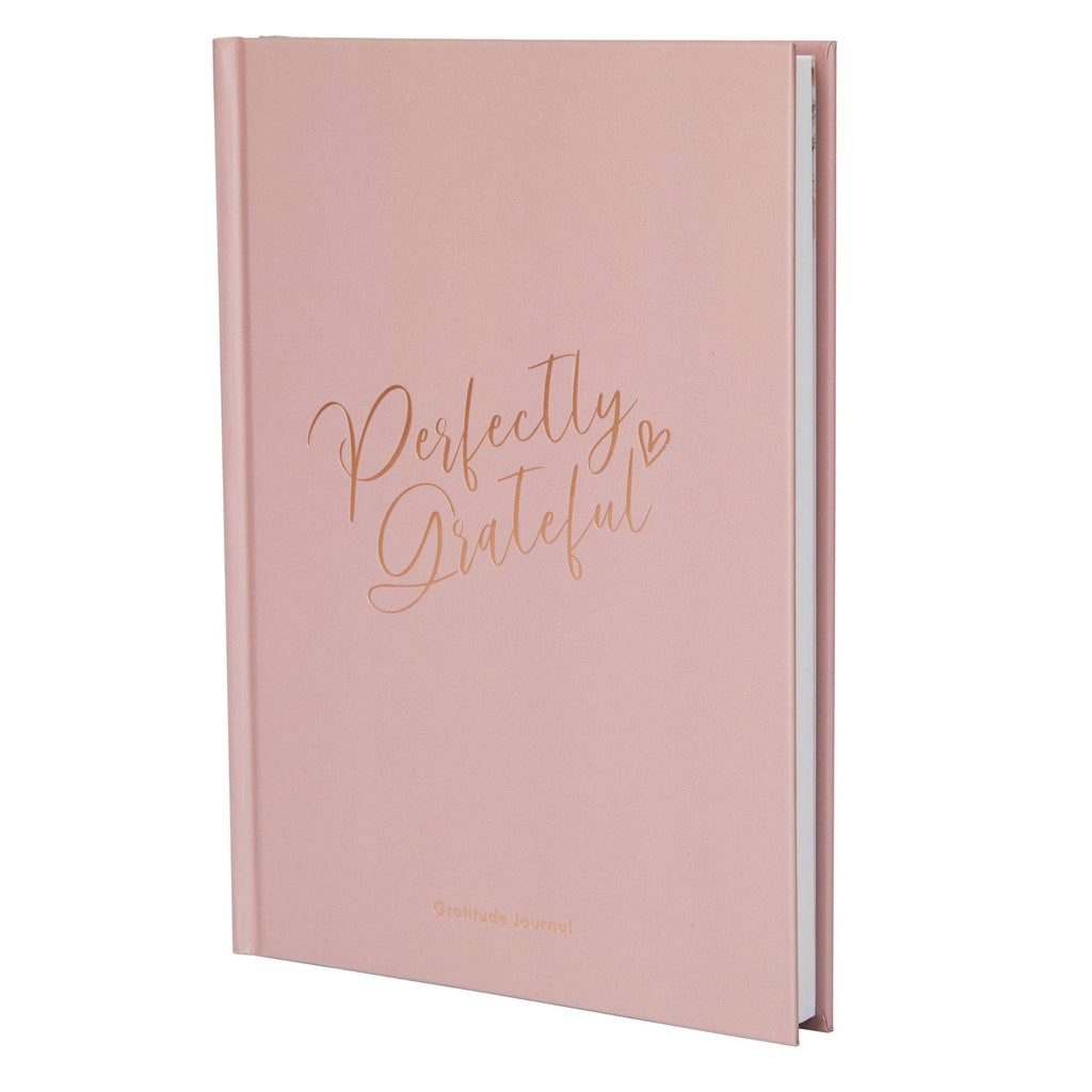 Gratitude Book - Dusky Pink