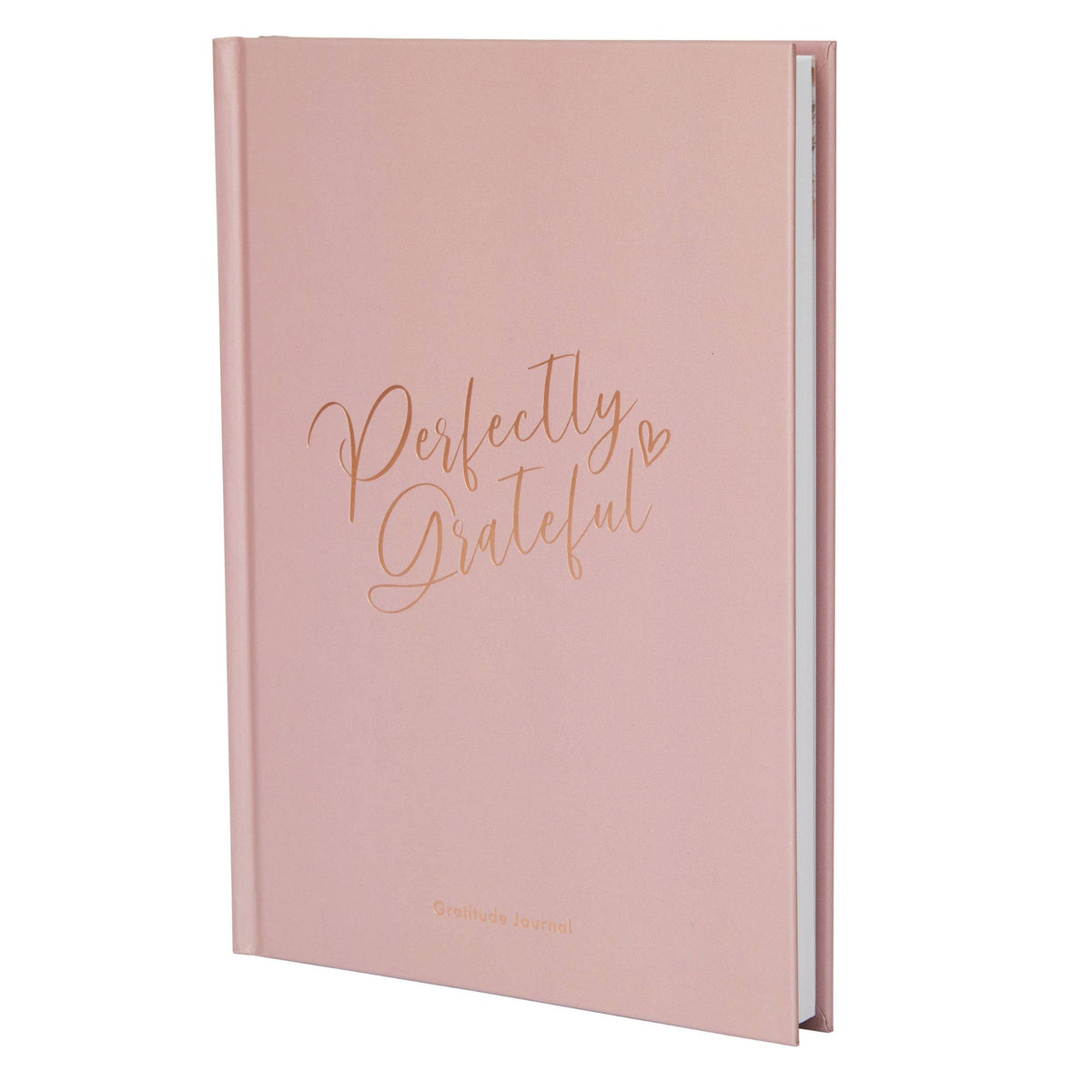 Gratitude Book - Dusky Pink