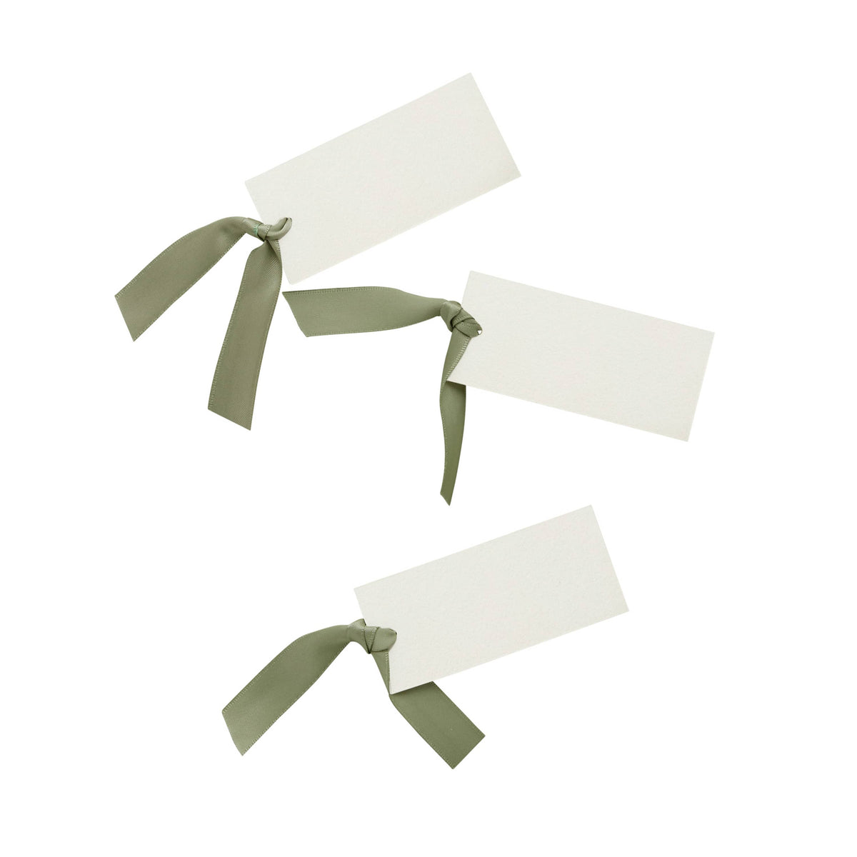 Botanical Party Place Cards with Satin Knot x 8 place cards Botanical Party Place Cards with Satin Knot x 8