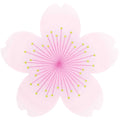 Cherry Blossom Party Napkins x 20 - Floral Party Paper Napkins Cherry Blossom Party Napkins x 20