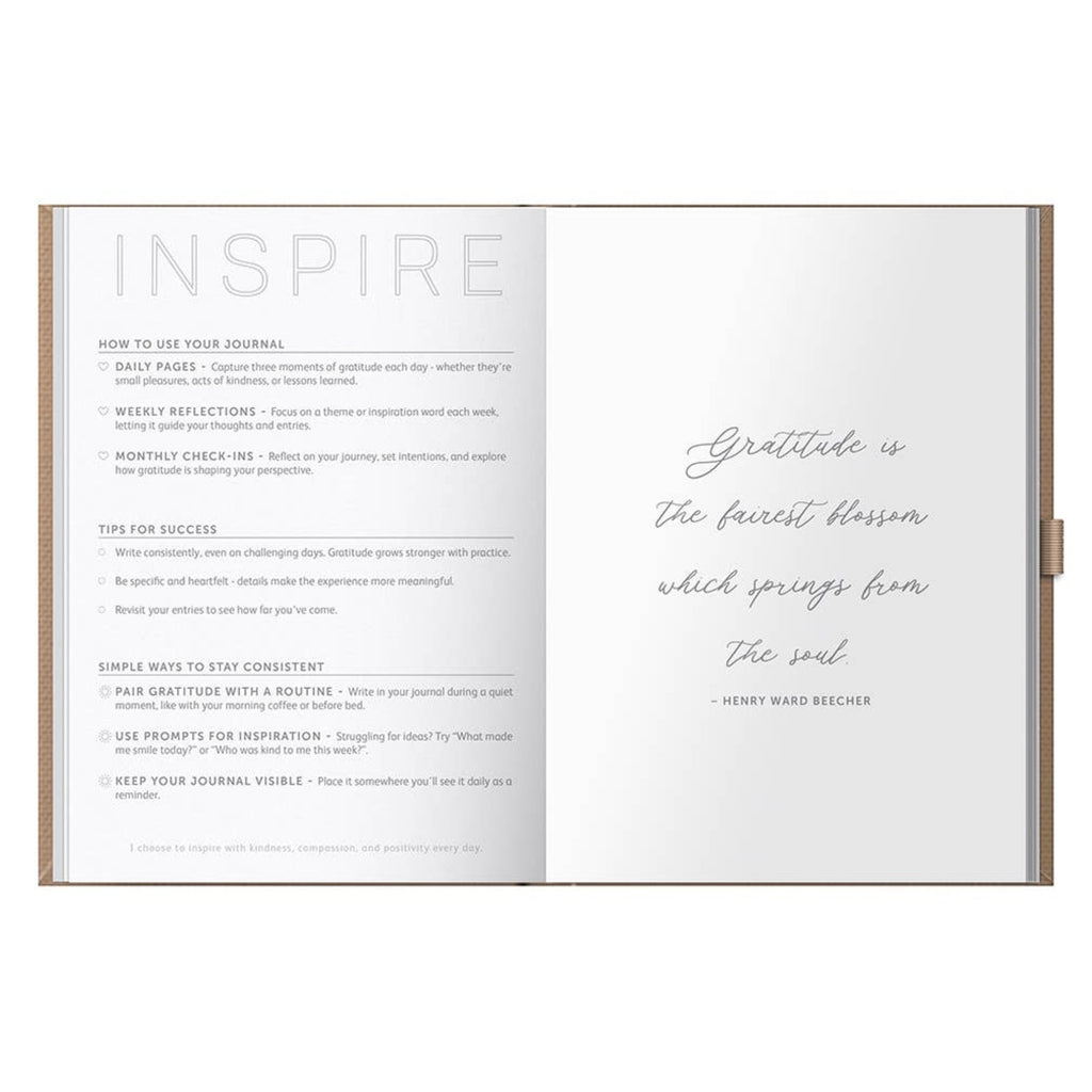 Busy B Gratitude Journal - 6 Month Undated