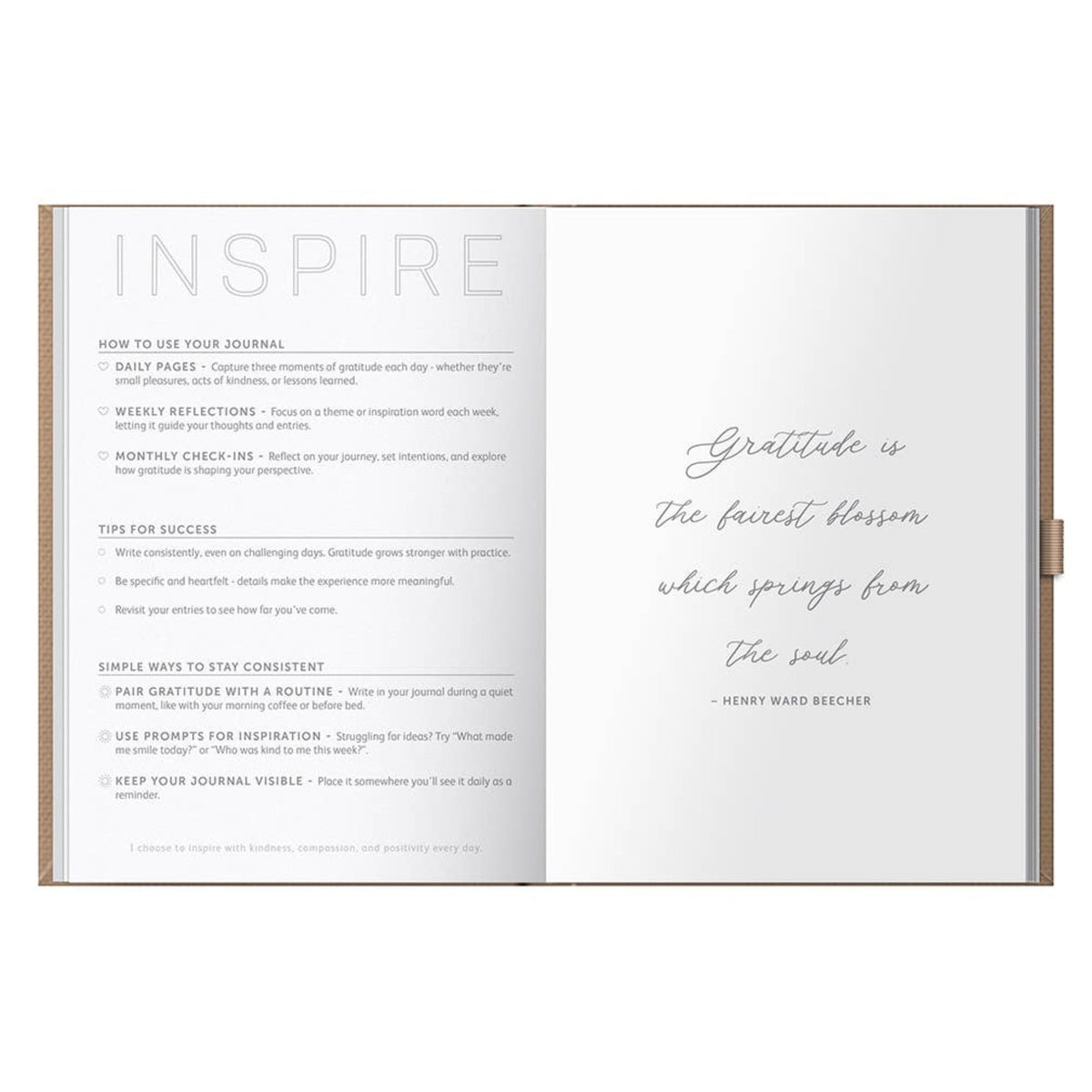 Busy B Gratitude Journal - 6 Month Undated