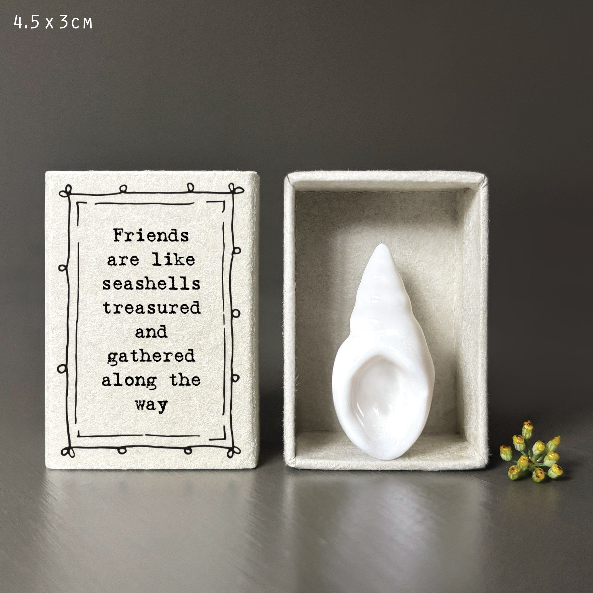 East Of India Matchbox Porcelain Shell ornament East Of India Matchbox Porcelain Shell