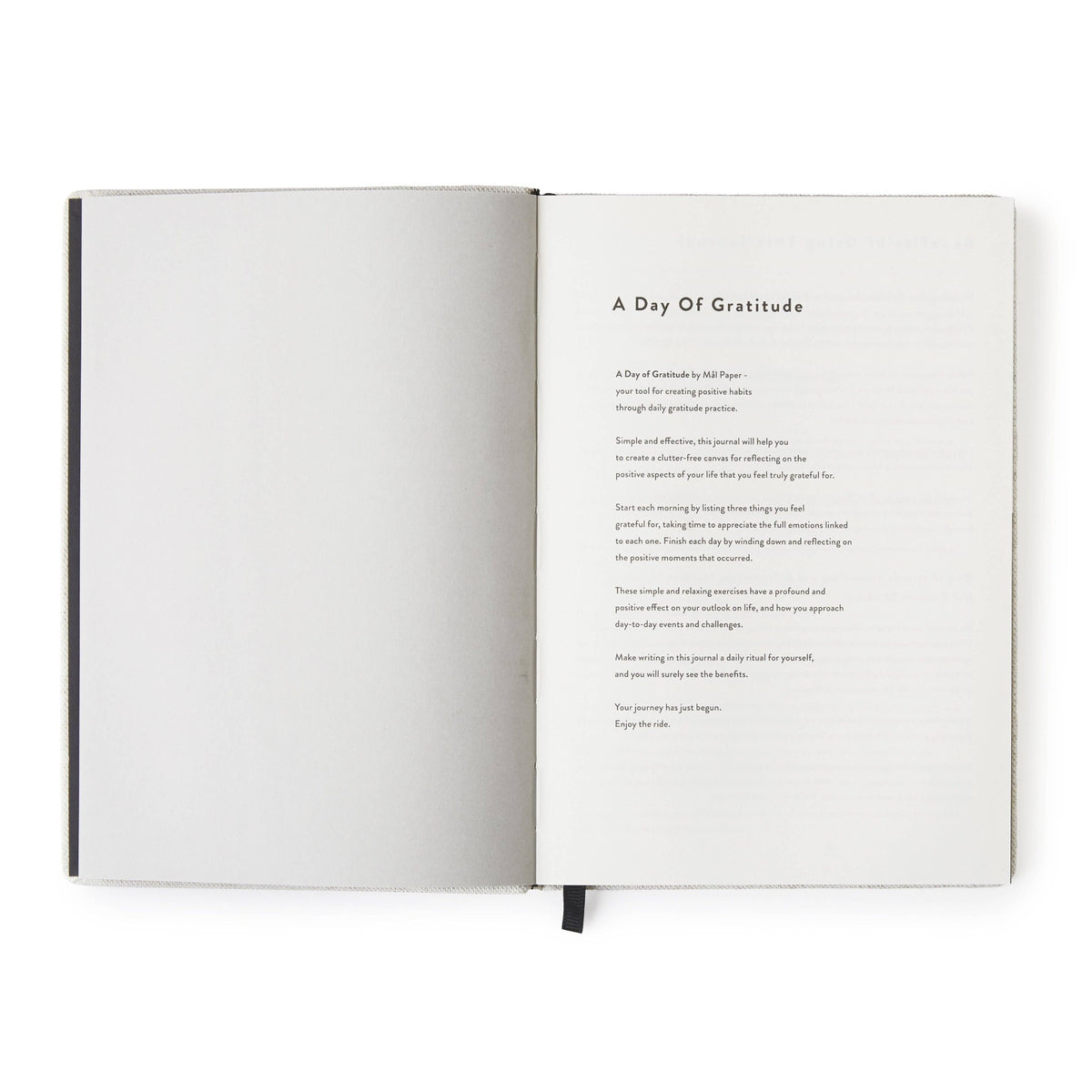 Day of Gratitude Journal - Cotton