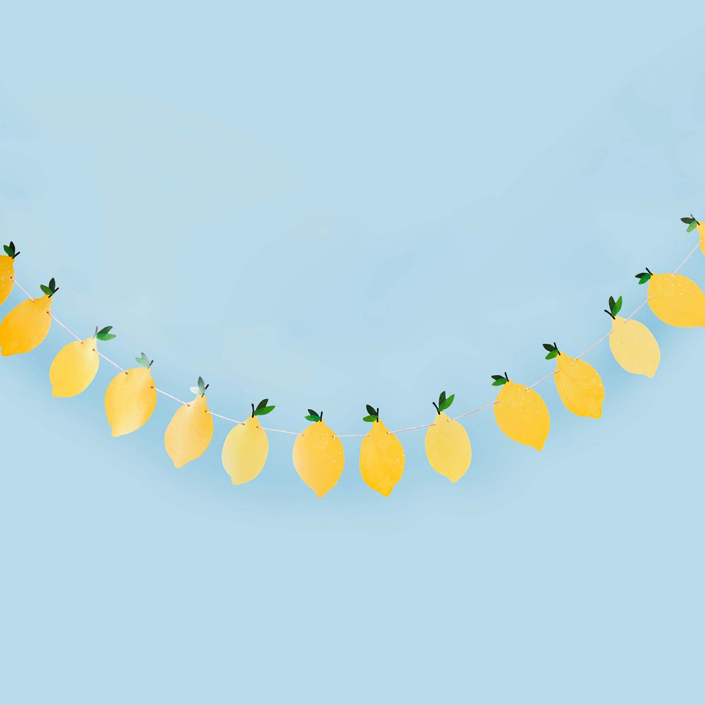 Party Supplies Lemon Party Garland 2.5M